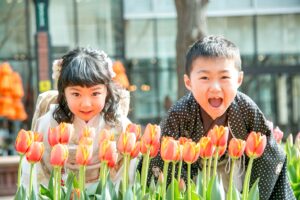 【札幌本店＆青森店】七五三衣裳フェア開催中♪